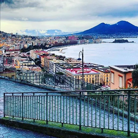 Dale Napoli