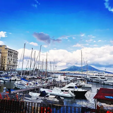 Dale Napoli