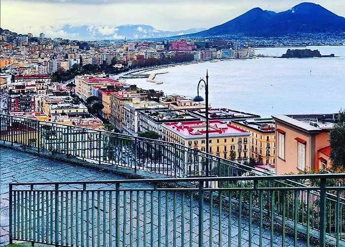 Dale Napoli