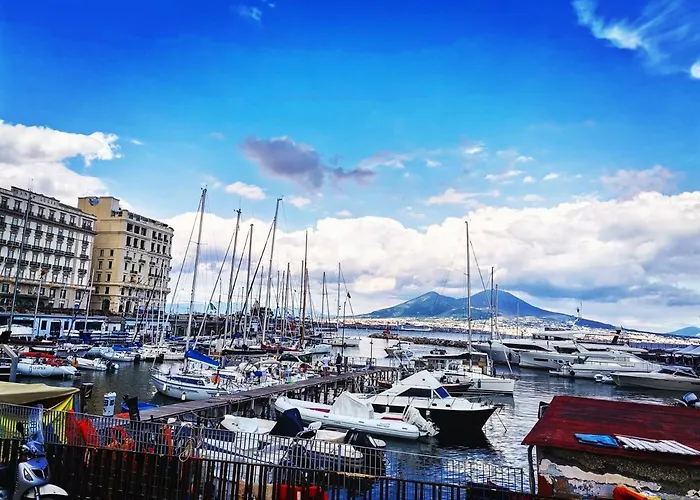 Dale Napoli